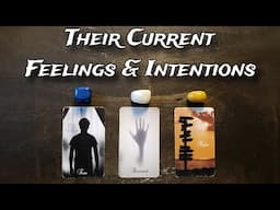 ❤🔥 Their Current Feelings & Intentions Pick A Card Love Reading