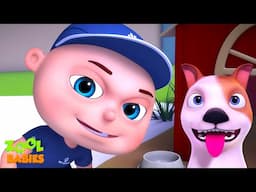 Zool Babies Pet Rescue And More | Zool Babies Series | Cartoon Animation For Kids
