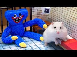 🔴 Hamster Adventure Live 24/7 | I Built 7 EXTREME Prison Mazes for My Hamster!