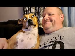 When Your Dog Starts Silently Judging You 😄 Funny Dog and Human Video 2025