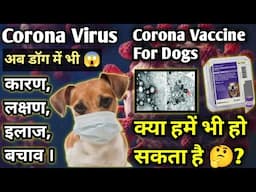 Corona Virus In Dogs 😱 || डॉग में Corona वायरस क्या है ? ||  Symptoms, Prevention, Treatment ?