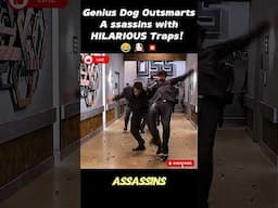 Genius Dog Outsmarts Assassins with HILARIOUS Traps! 😂🐶💥 #shorts