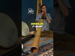 $1,495 (USD) Woodslide vs. $167 homemade slide didge