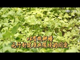 【生活地球村】 以有機耕種施行對健康與環境的關愛 20250615