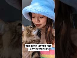 The best litter for lazy pawrents