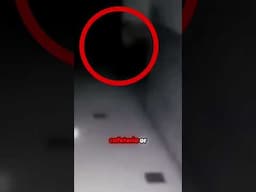Ghost Sighting in School Hallway?