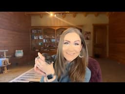 LIVE Q&A - Ask Me Anything! | Manifestation & the Law + Foster Kittens! (April 13th, 2025)