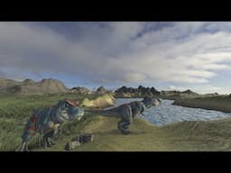 Island