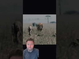 Typical Wildlife Documentary Cheating