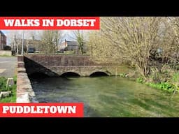 WALKS IN DORSET at PUDDLETOWN & ILSINGTON (4K)