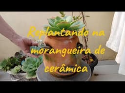 REPAGINANDO A MORANGUEIRA DE CERÂMICA E JASMIM FLORINDO
