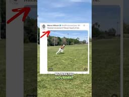 Does DB Marco Wilson have no wasted movement?