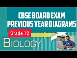 Cbse previous year biology | diagrams | std 12 | important questions | durai | alwarkurichi