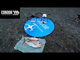 Fun Day Fishing With 3 CONDOR DRONES & Smoked Pies