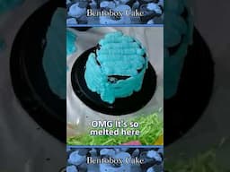 Expectation vs Reality