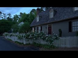 Evening Spring Walk Through American Neighborhood | Nature Sounds for Sleep and Study