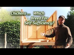 DIY Chicken Coop Build Part 2 - Which Breeds For Self Sufficiency & Why?