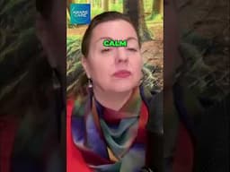 Laura's Feeling as Pure Energy  #interview
