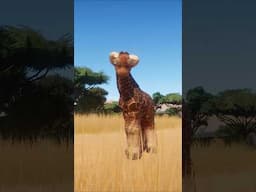 This Baby Giraffe Doesn’t Look Right… But I Love It 🦒🧸