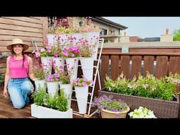 Finishing Planting My Rooftop Garden & Talking About Irrigation
