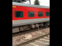 रीवा रेलवे स्टेशन से 14 ट्रेन चलती है