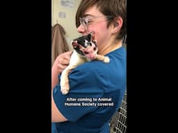 Cat adopted by his rescuer