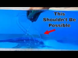 Can You Fill a Shape That Has No Inside?