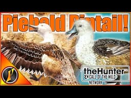 Double Troll & Piebald Pintail on Askiy Ridge! [EARLY ACCESS] | theHunter Call of the Wild