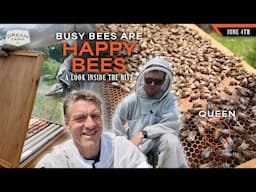 Looking Inside our Bee Hives - Bees are Building and Multiplying | Dream Farm w/ Bill Winke