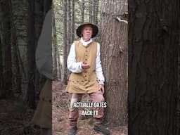 From Romans to the Frontier | Importance of the Saw Mill | Origins of Kelly Station