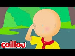 Le nouveau camarade de classe de Caillou | Caillou Français |    | Apprentissage pour les enfants