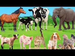 Lively Farm Animal Sounds: Horse, Dog, Chicken, Goat, Cat, Cow, Pig, Elephant – Animal Videos