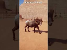 The NEW Animals Of The Planet Zoo Americas Pack | #shorts