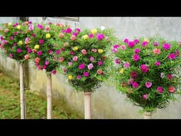 Genius Garden Hack Grow Beautiful Flowers in Plastic Bottles!