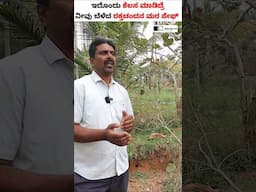 Tips to Keep Your Red Sandalwood Safe and Profitable! #shorts #redsandalwood #sandalwoodfarming