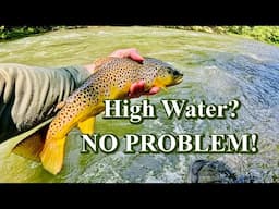 Don't Fear High Water:  Nymphing & Streamer Success!