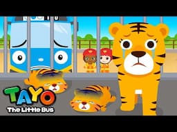 Protect the Baby Tigers! | Save the Animals | Tayo Animal Rescue Team | Tayo the Little Bus