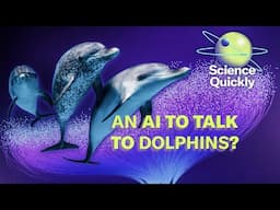 Could We Speak to Dolphins? A Promising LLM Makes That a Possibility