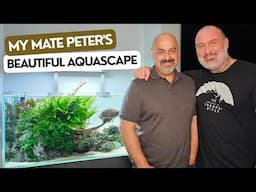 BEAUTIFUL AQUASCAPE | Deep Dive | Overview