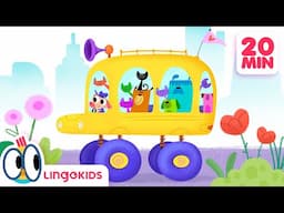 CAT SONGS 🐱 Celebrate Cuteness with Lingokids + More Animal Tunes