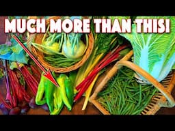 Huge Garden Harvest! Our Best Ever?