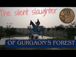 The Silent Slaughter of Gurgaon's forest | Nature Connection