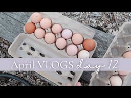 A Few New Things | April VLOGS 2025 Day 12