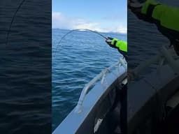 Landing a 216cm Halibut! 🔥🎣🇳🇴