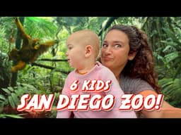 San Diego Zoo with my 6 kids: Best Family Day Out! 🦁