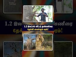 ஆப்பிரிக்காவின் யானை மரத்துல இவ்ளோ விஷயங்கள் இருக்கா?! | Baobab tree