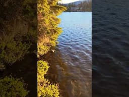 STUNNING Northern California camp spot!