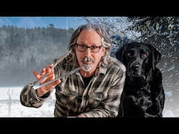 Starting Over With A Dog and A Dream