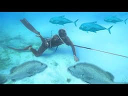 NEWEST Spearfishing Technology! | Remote Island Catch n Cook