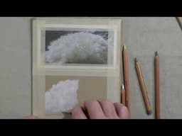 How to draw Labradoodle Hair | Pastel Pencil Demonstration
